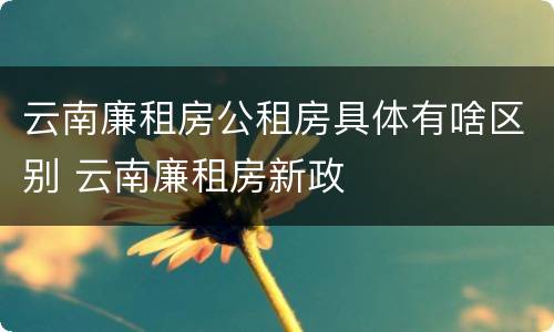 云南廉租房公租房具体有啥区别 云南廉租房新政