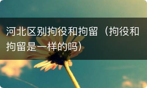 河北区别拘役和拘留（拘役和拘留是一样的吗）