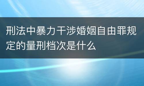 刑法中暴力干涉婚姻自由罪规定的量刑档次是什么
