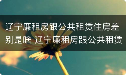 辽宁廉租房跟公共租赁住房差别是啥 辽宁廉租房跟公共租赁住房差别是啥呀