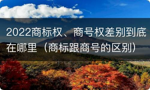 2022商标权、商号权差别到底在哪里（商标跟商号的区别）