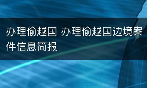 办理偷越国 办理偷越国边境案件信息简报