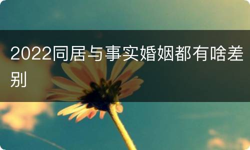 2022同居与事实婚姻都有啥差别