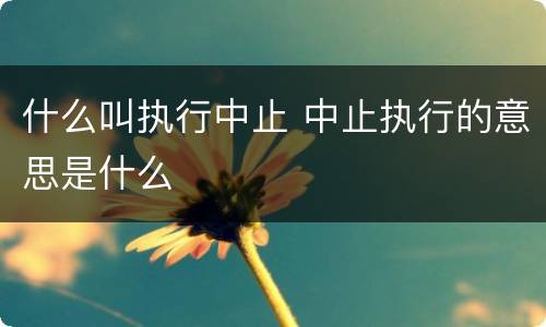 什么叫执行中止 中止执行的意思是什么