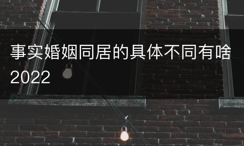 事实婚姻同居的具体不同有啥2022