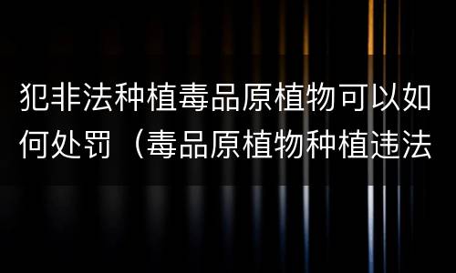犯非法种植毒品原植物可以如何处罚（毒品原植物种植违法犯罪行为）