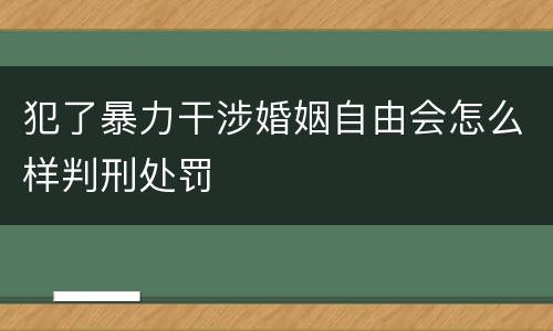 犯了暴力干涉婚姻自由会怎么样判刑处罚