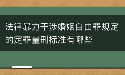 法律暴力干涉婚姻自由罪规定的定罪量刑标准有哪些