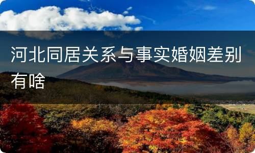 河北同居关系与事实婚姻差别有啥