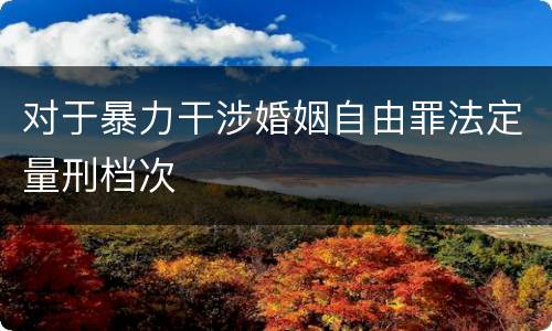 对于暴力干涉婚姻自由罪法定量刑档次