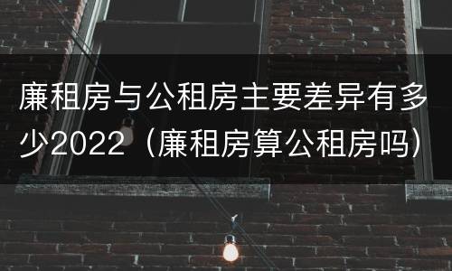 廉租房与公租房主要差异有多少2022（廉租房算公租房吗）