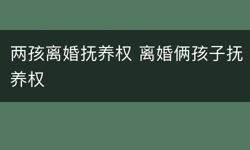 两孩离婚抚养权 离婚俩孩子抚养权