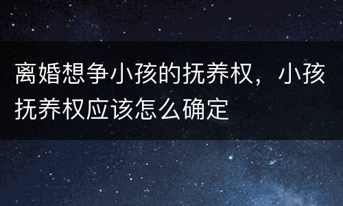 离婚想争小孩的抚养权，小孩抚养权应该怎么确定