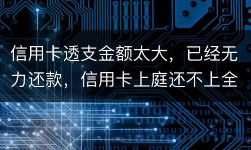 信用卡透支金额太大，已经无力还款，信用卡上庭还不上全款怎么办