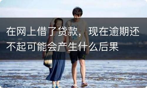 在网上借了贷款，现在逾期还不起可能会产生什么后果