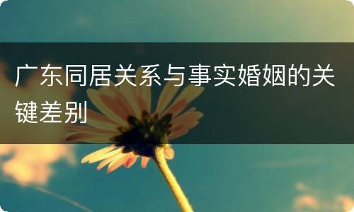 广东同居关系与事实婚姻的关键差别