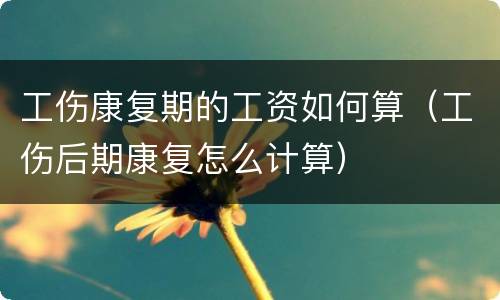 工伤康复期的工资如何算（工伤后期康复怎么计算）