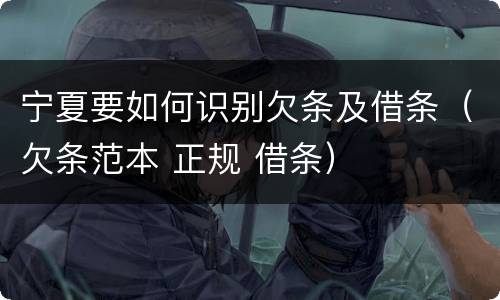 宁夏要如何识别欠条及借条（欠条范本 正规 借条）