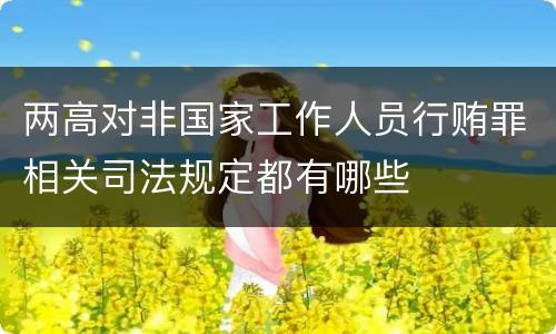 两高对非国家工作人员行贿罪相关司法规定都有哪些