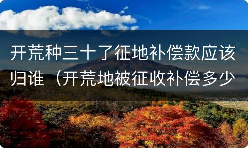 开荒种三十了征地补偿款应该归谁（开荒地被征收补偿多少钱）