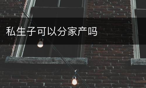 私生子可以分家产吗