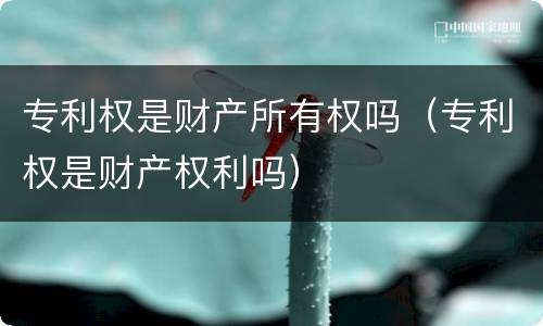 专利权是财产所有权吗（专利权是财产权利吗）