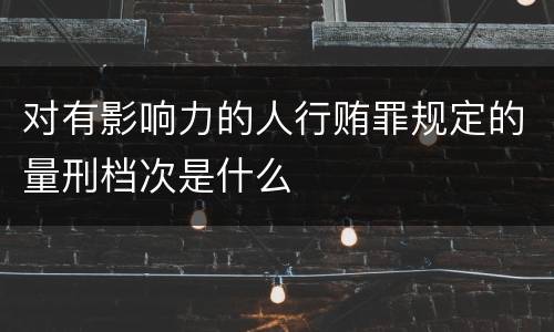 对有影响力的人行贿罪规定的量刑档次是什么