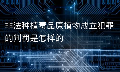 非法种植毒品原植物成立犯罪的判罚是怎样的