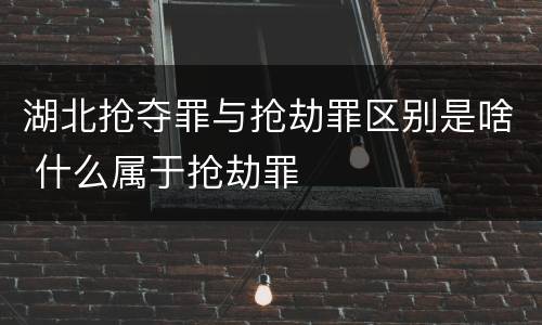 湖北抢夺罪与抢劫罪区别是啥 什么属于抢劫罪