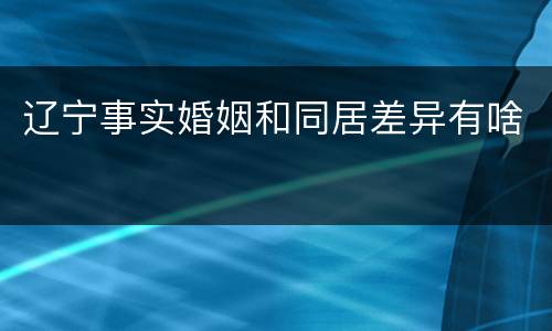 辽宁事实婚姻和同居差异有啥