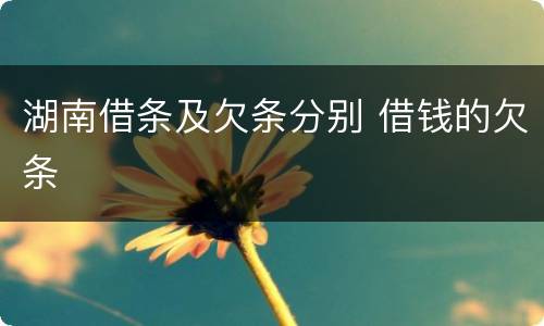 湖南借条及欠条分别 借钱的欠条