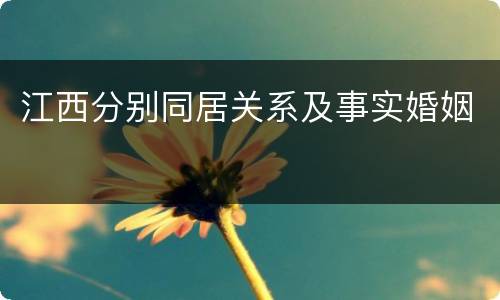 江西分别同居关系及事实婚姻