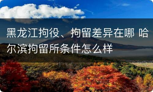 黑龙江拘役、拘留差异在哪 哈尔滨拘留所条件怎么样