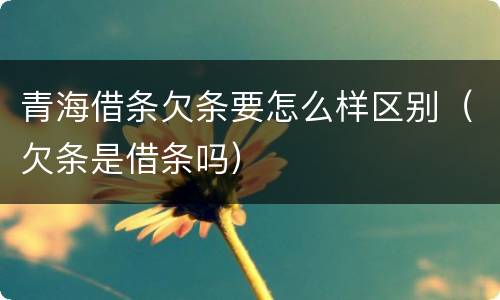 青海借条欠条要怎么样区别（欠条是借条吗）