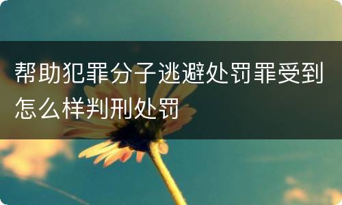 帮助犯罪分子逃避处罚罪受到怎么样判刑处罚