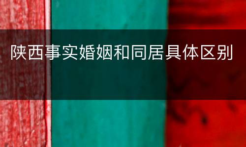 陕西事实婚姻和同居具体区别