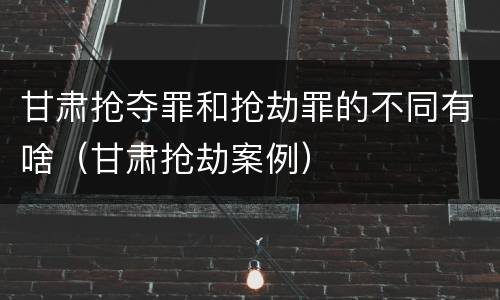 甘肃抢夺罪和抢劫罪的不同有啥（甘肃抢劫案例）