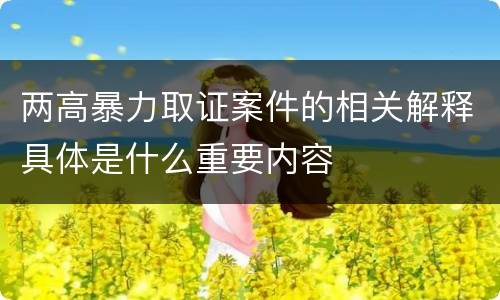 两高暴力取证案件的相关解释具体是什么重要内容