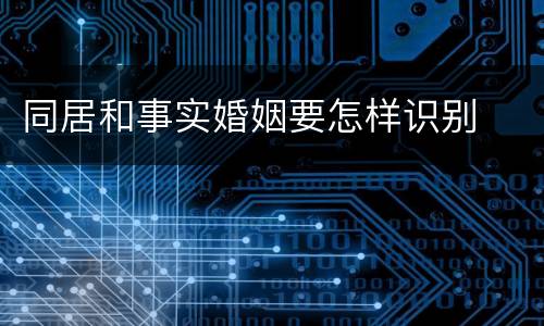 同居和事实婚姻要怎样识别