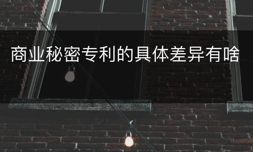 商业秘密专利的具体差异有啥