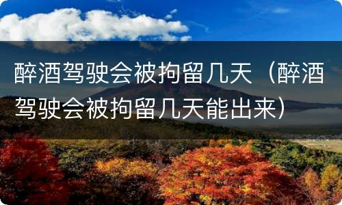 醉酒驾驶会被拘留几天（醉酒驾驶会被拘留几天能出来）