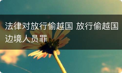 法律对放行偷越国 放行偷越国边境人员罪