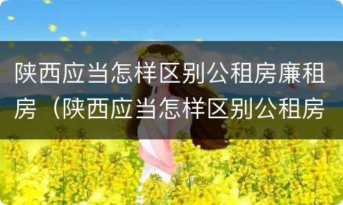 陕西应当怎样区别公租房廉租房（陕西应当怎样区别公租房廉租房和住宅）