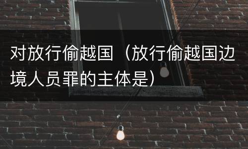 对放行偷越国（放行偷越国边境人员罪的主体是）