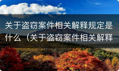 关于盗窃案件相关解释规定是什么（关于盗窃案件相关解释规定是什么意思）