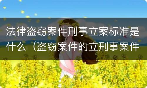 法律盗窃案件刑事立案标准是什么（盗窃案件的立刑事案件标准）