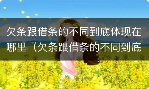 欠条跟借条的不同到底体现在哪里（欠条跟借条的不同到底体现在哪里呢）