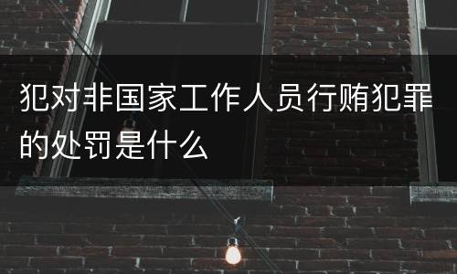 犯对非国家工作人员行贿犯罪的处罚是什么