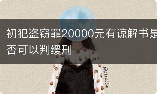 初犯盗窃罪20000元有谅解书是否可以判缓刑