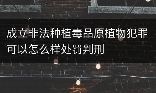 成立非法种植毒品原植物犯罪可以怎么样处罚判刑
